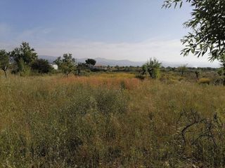 Terreno en venta en Alcora, l´