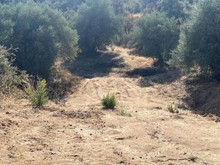 Terreno en venta en Avda Europa - San Antón en Toledo