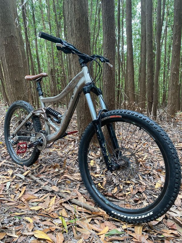 Specialized Big Hit