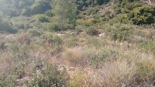 Solar en venta en Alcora, l´