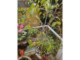 Local comercial en alquiler en Nucli Antic en Cunit