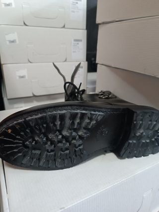 Anfibi Montebove Sardegna