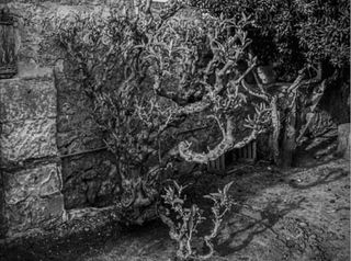 Casa rural en venta en Manacor Centro en Manacor