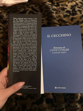 IL CECCHINO