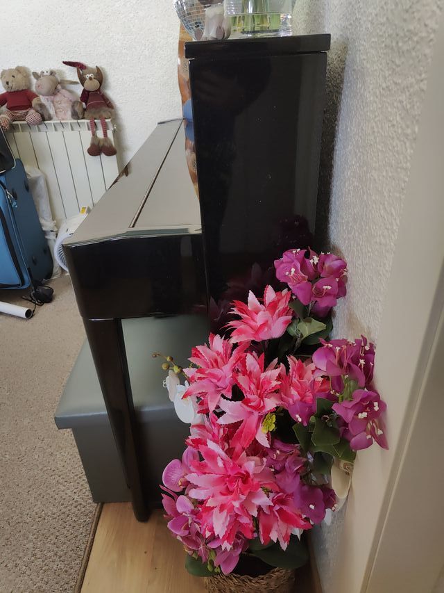 Piano digital Kurzweil con banqueta Cup2