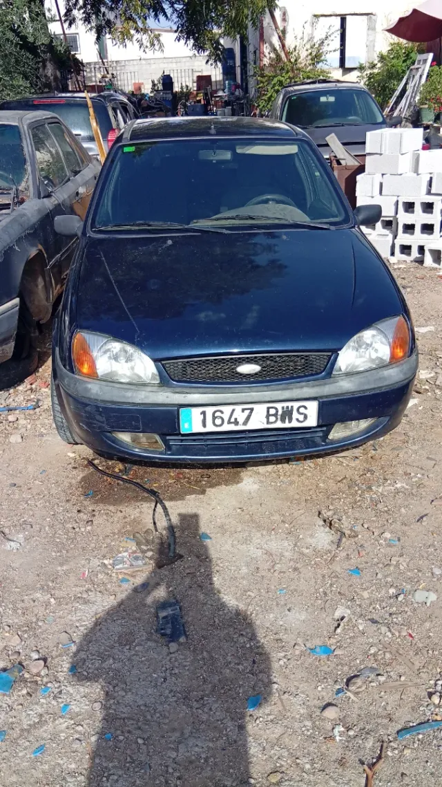 Despiece Ford Fiesta