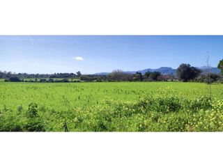 Chalet en venta en Centro en Inca