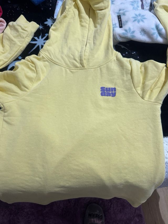 Chaqueta Champion Verde Azulado