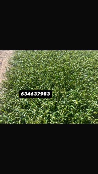 Césped Artificial Reciclado Verde