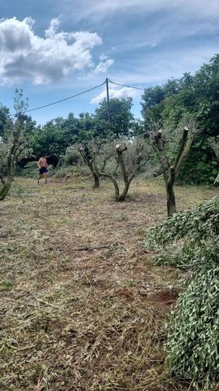 Casa en venta en Ponent en Reus