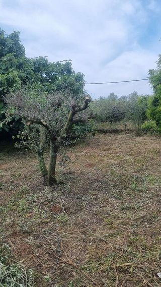 Casa en venta en Ponent en Reus