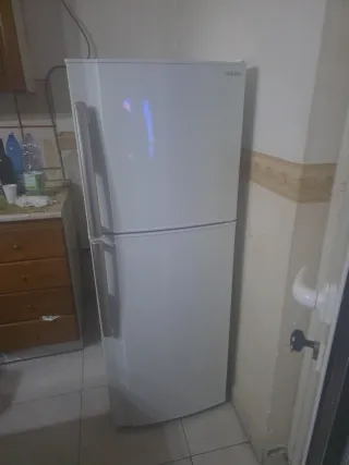 Frigorifero Sharp Bianco