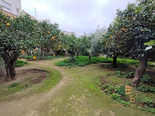 Chalet en venta en Don Benito