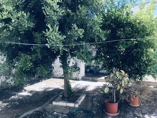 Casa en venta en Almendralejo