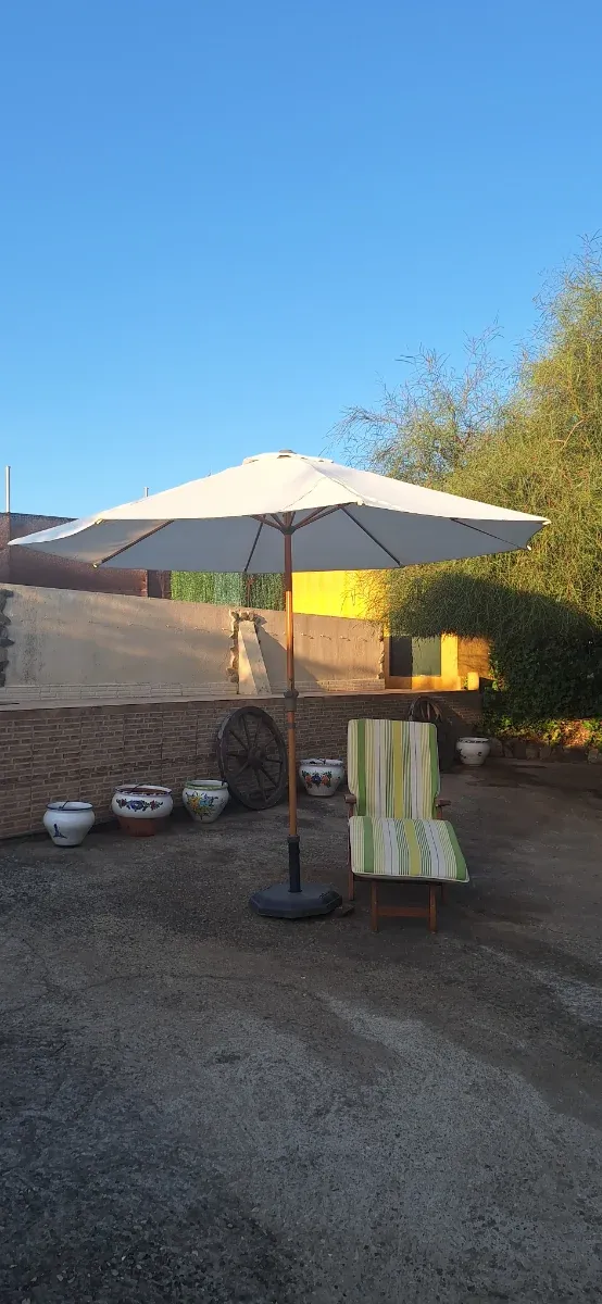 Parasol y tumbona de madera con colchoneta