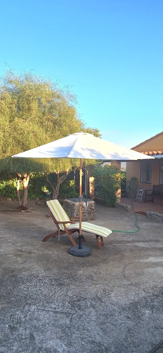 Parasol y tumbona de madera con colchoneta