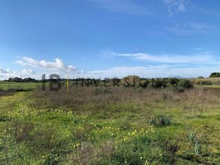 Terreno en venta en Manacor Centro en Manacor