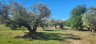 Terreno en venta en Roquetes