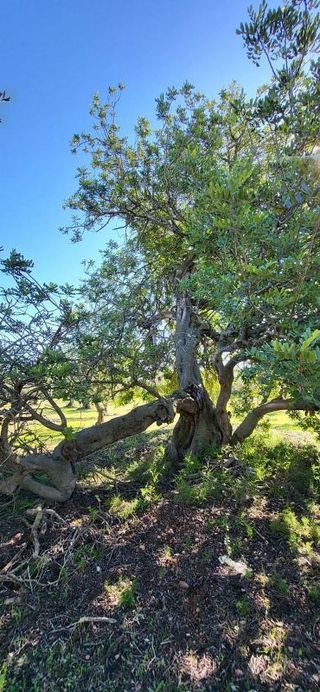 Terreno en venta en Roquetes