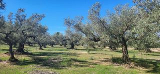 Terreno en venta en Roquetes