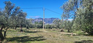 Terreno en venta en Roquetes