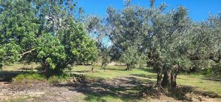 Terreno en venta en Roquetes