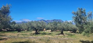 Terreno en venta en Roquetes