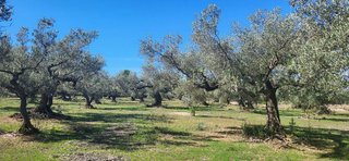 Terreno en venta en Roquetes