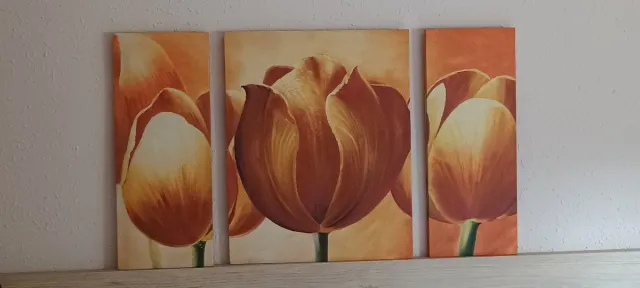 Cuadros de tulipanes naranjas y amarillos