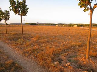 Solar en venta en Almansa