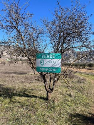 Terreno en venta en Dúrcal