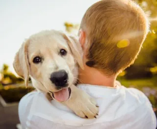 Limpieza / cuidado mayores /animalitos por horas ó