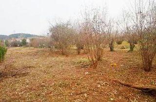 Terreno en venta en Anglès