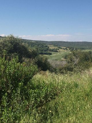 Solar en venta en Sotogrande Alto en San Roque