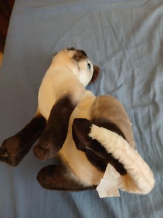 Peluche Gatto Siamese Realistico