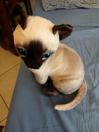 Peluche Gatto Siamese Realistico