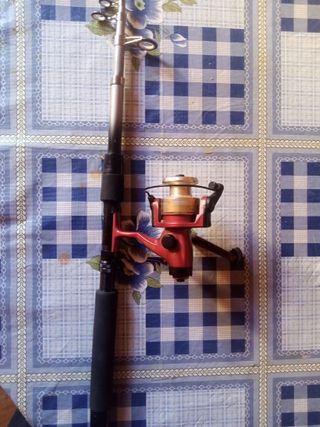 Caña de pescar y carrete