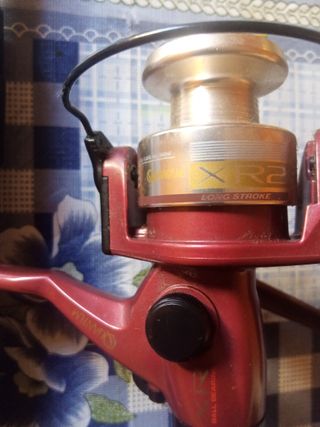 Caña de pescar y carrete