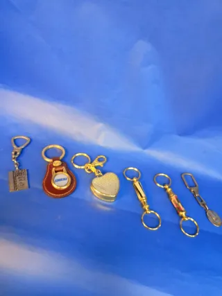 Lote de 6 Llaveros Variados