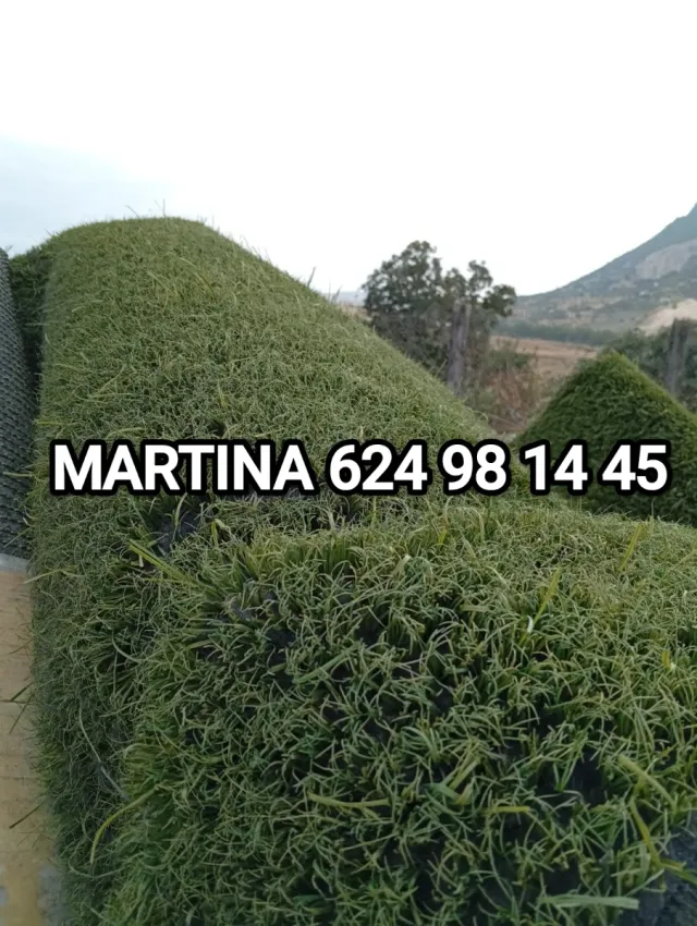 Venta de césped artificial