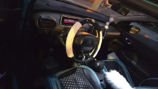 citroen c4 cactus  cactus 2015