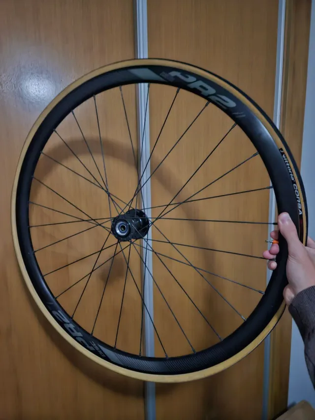 Rueda Delantera Disco Giant PR2