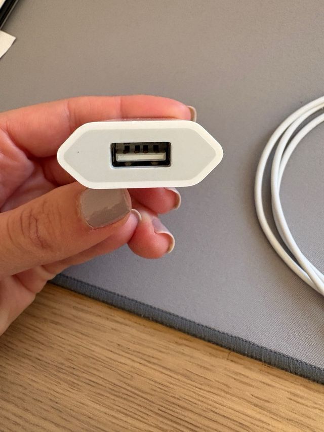 Cargador y Cable USB iPhone Apple