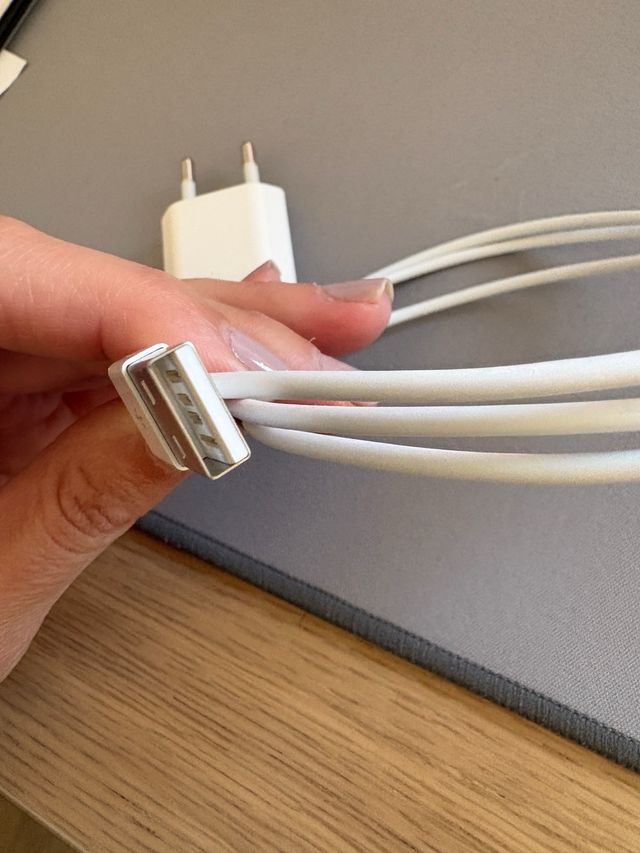 Cargador y Cable USB iPhone Apple