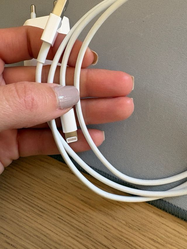 Cargador y Cable USB iPhone Apple