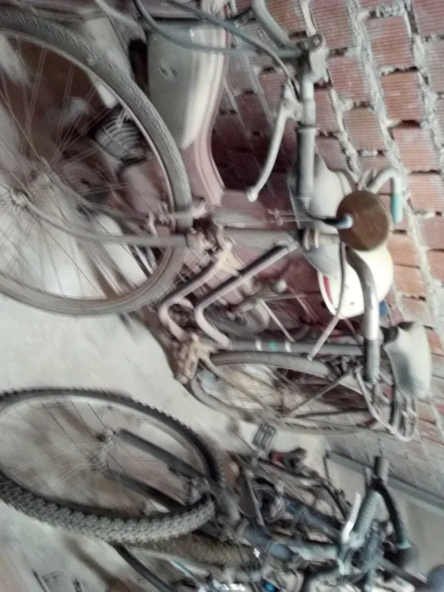 Bicicleta Clásica Señora