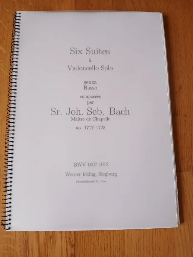 Violonchelo Palatino 4/4 con funda y accesorios