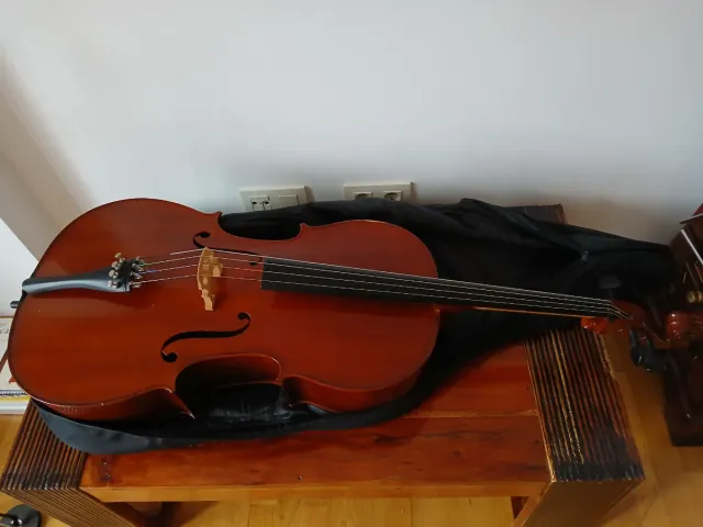 Violonchelo Palatino 4/4 con funda y accesorios