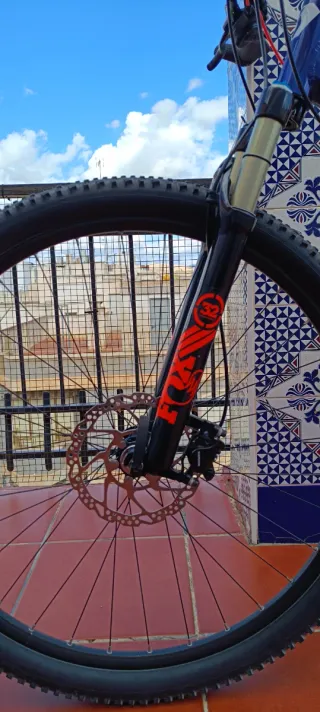 Scott Aspect 900 Talla L (29')