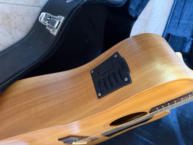 Guitarra Acústica Cole Clark